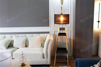 Modern Floor Lamps